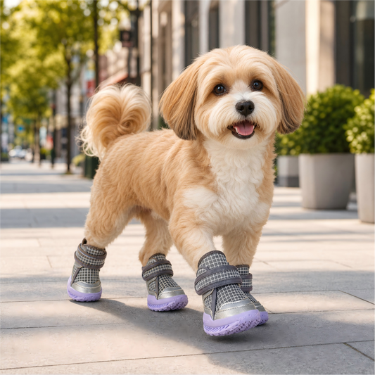 Leoxa Plum Purple Dog Shoes