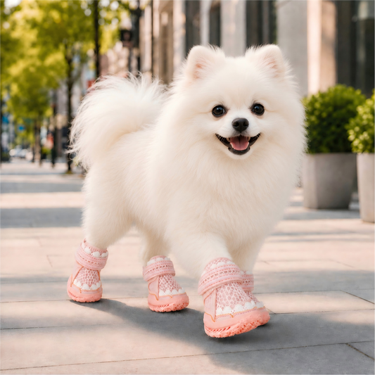 Leoxa Coral Pink Dog Shoes