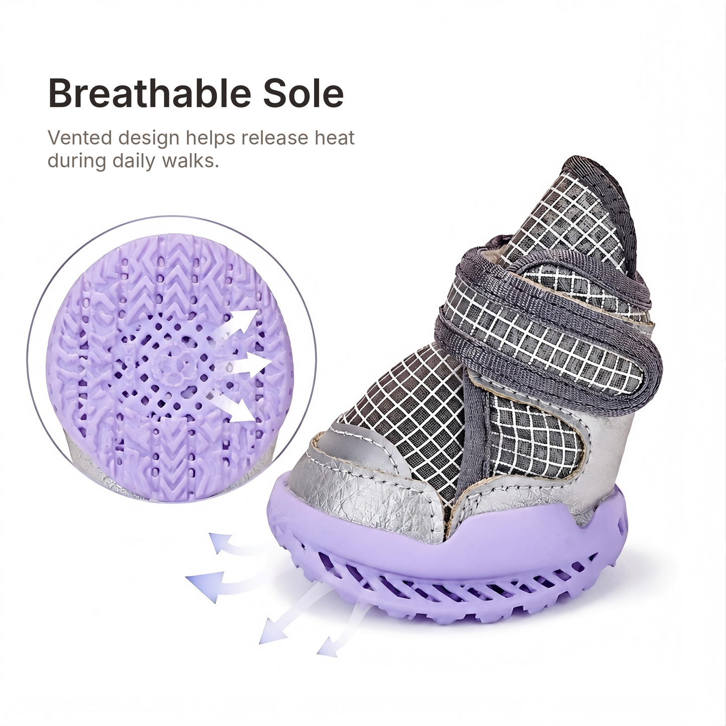 Leoxa Plum Purple Dog Shoes