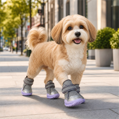 Leoxa Plum Purple Dog Shoes