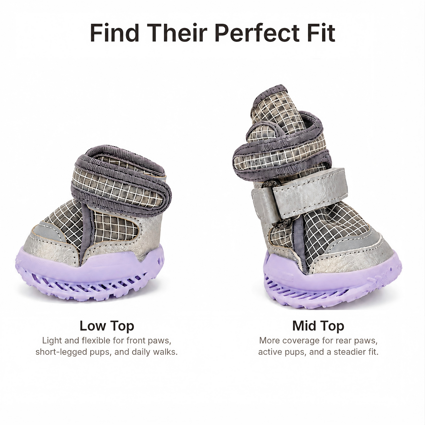 Leoxa Plum Purple Dog Shoes
