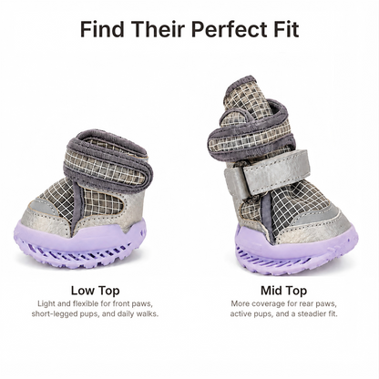 Leoxa Plum Purple Dog Shoes