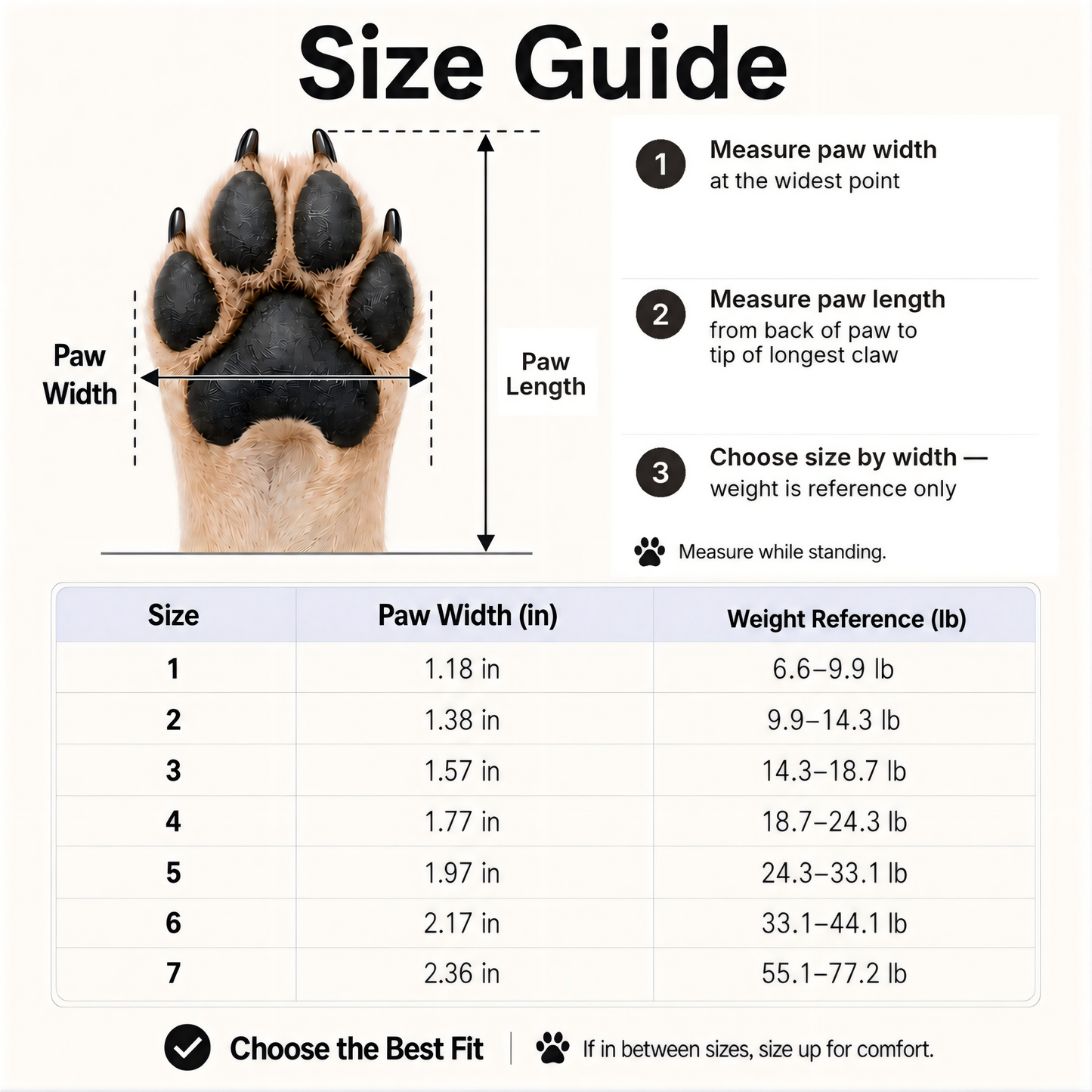 Leoxa Plum Purple Dog Shoes