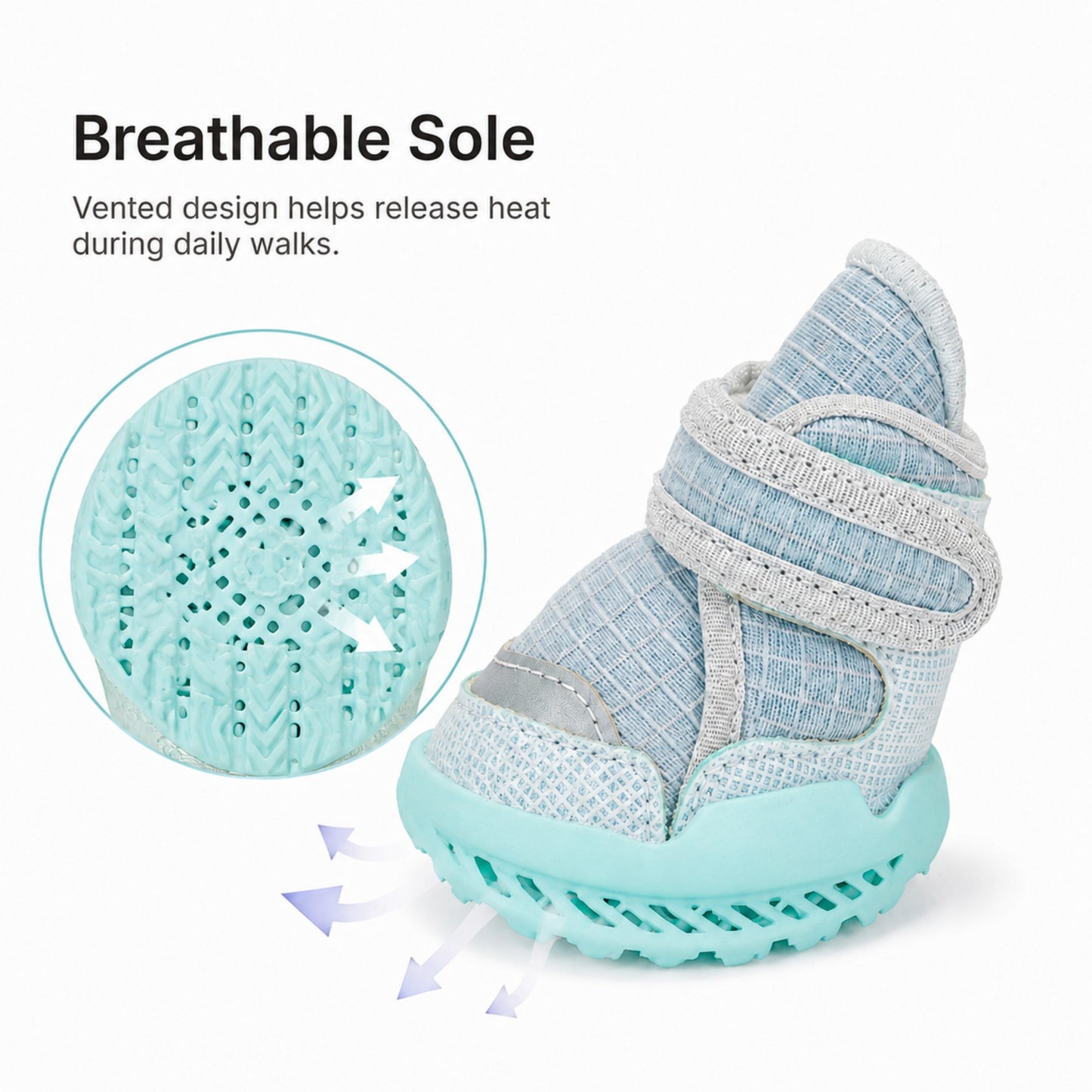 Leoxa Aqua Blue Dog Shoes