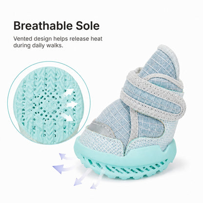 Leoxa Aqua Blue Dog Shoes