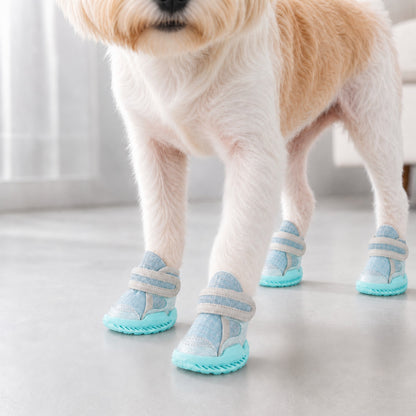 Leoxa Aqua Blue Dog Shoes