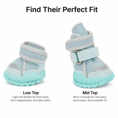 Leoxa Aqua Blue Dog Shoes