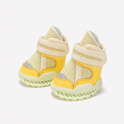 Leoxa Lemon Dog Shoes