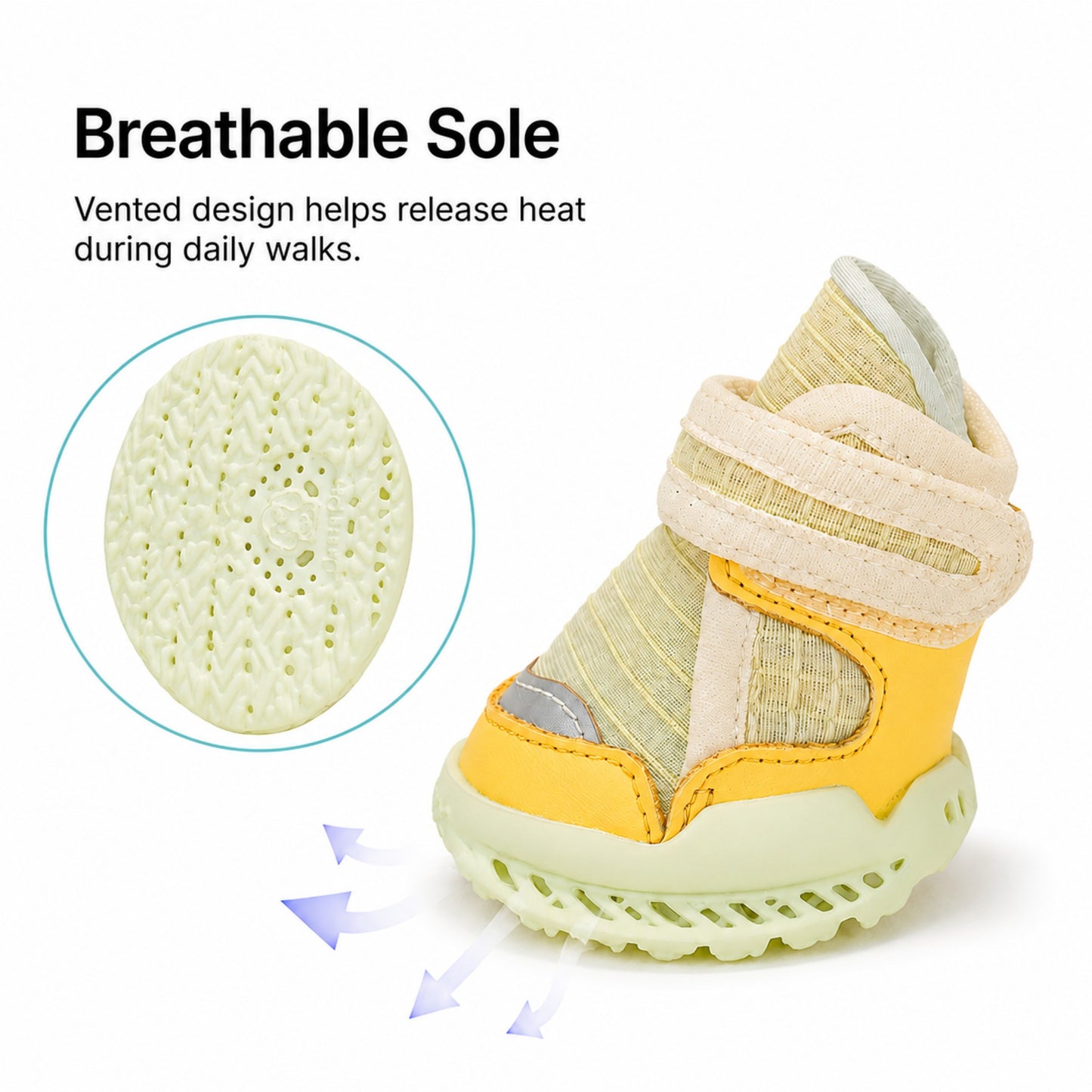 Leoxa Lemon Dog Shoes