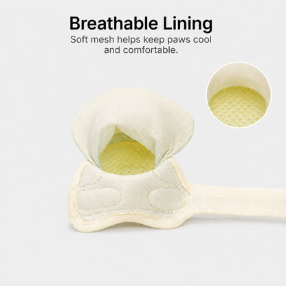 Leoxa Lemon Dog Shoes