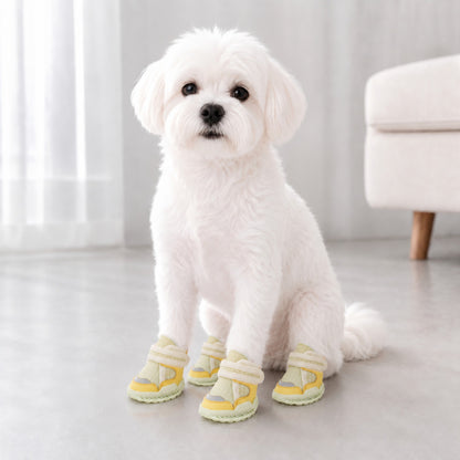Leoxa Lemon Dog Shoes