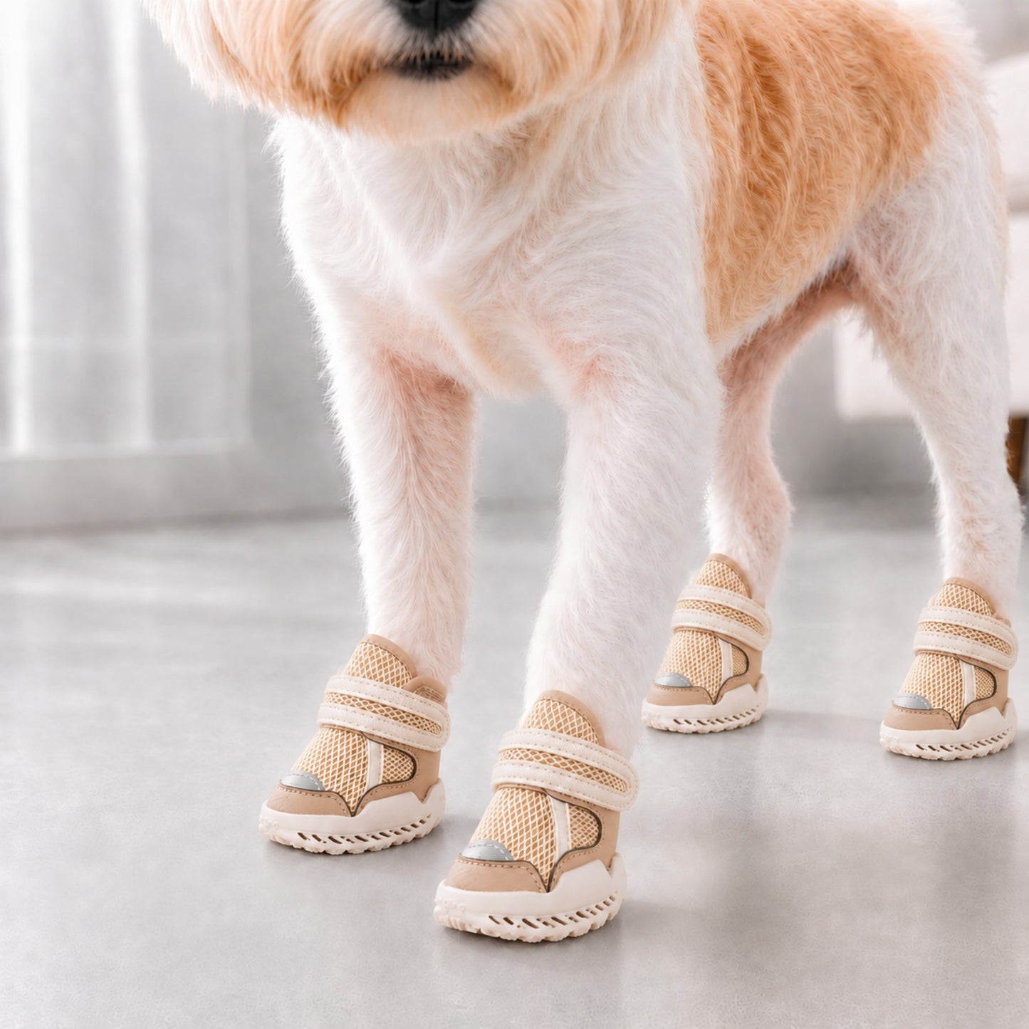 Leoxa Cream Beige Dog Shoes